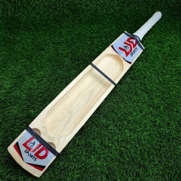 big-scoop-tennis-cricket-bat.jpg