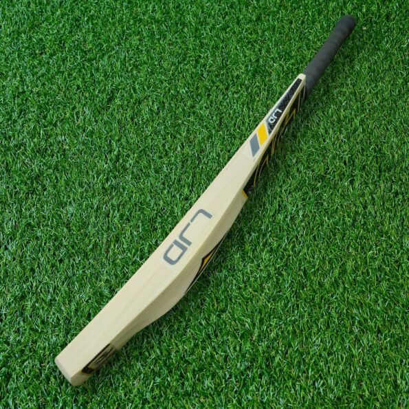 leather-cricket-bat.jpg